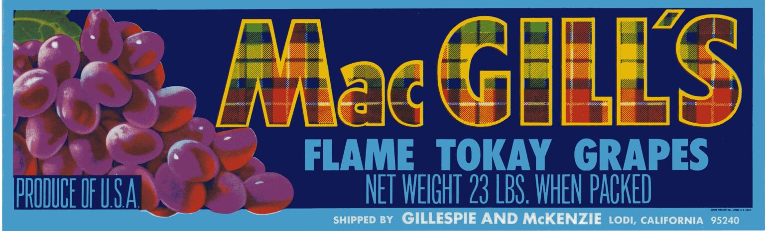 Mac Gill s